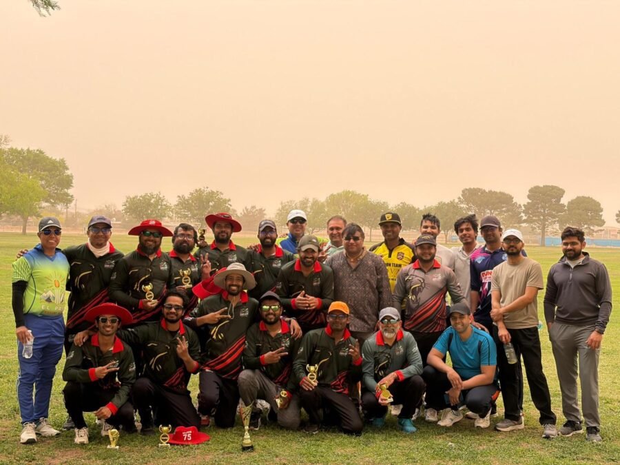 Dream Team Hardball Cricket